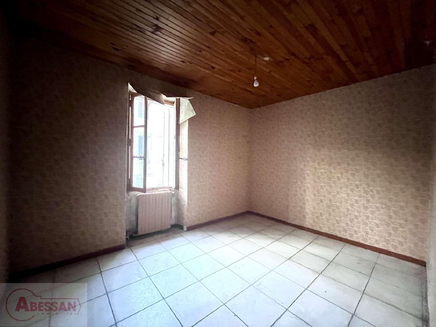  à vendre batiment La Grand'Combe Gard 8