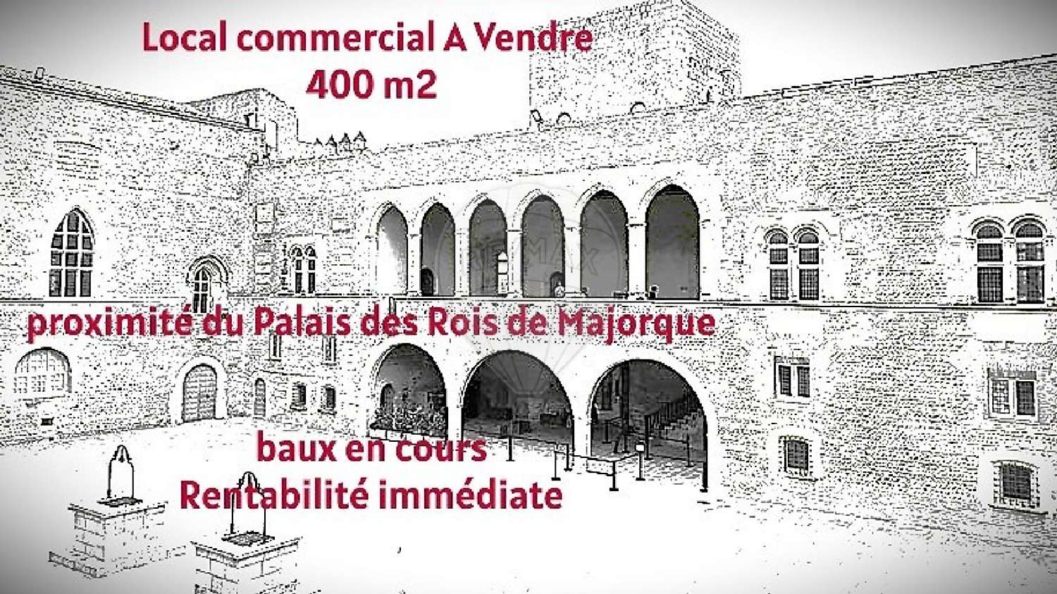 à vendre batiment Perpignan Pyrénées-Orientales 1
