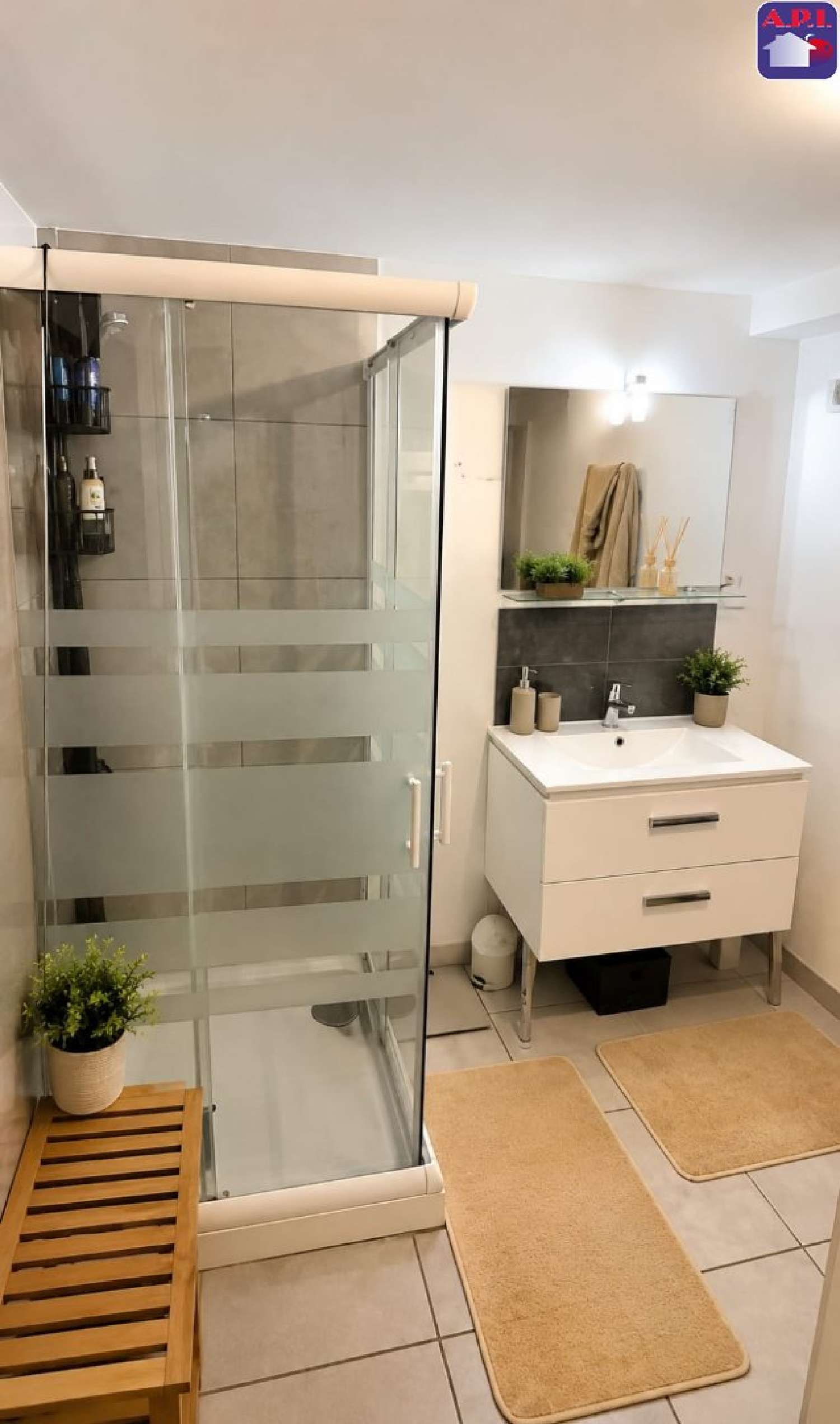  à vendre batiment Saverdun Ariège 7