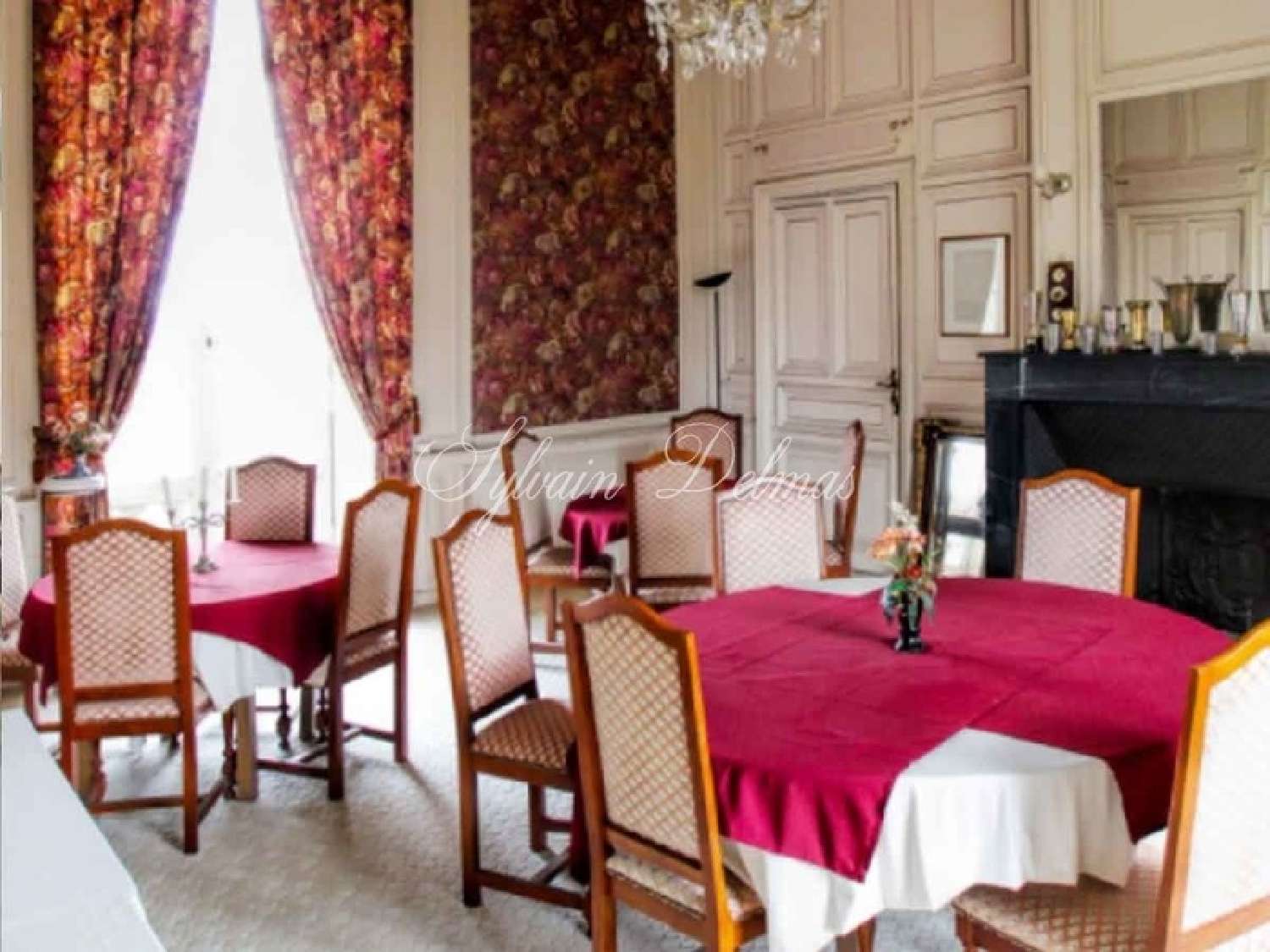 te koop kasteel Angers Maine-et-Loire 5