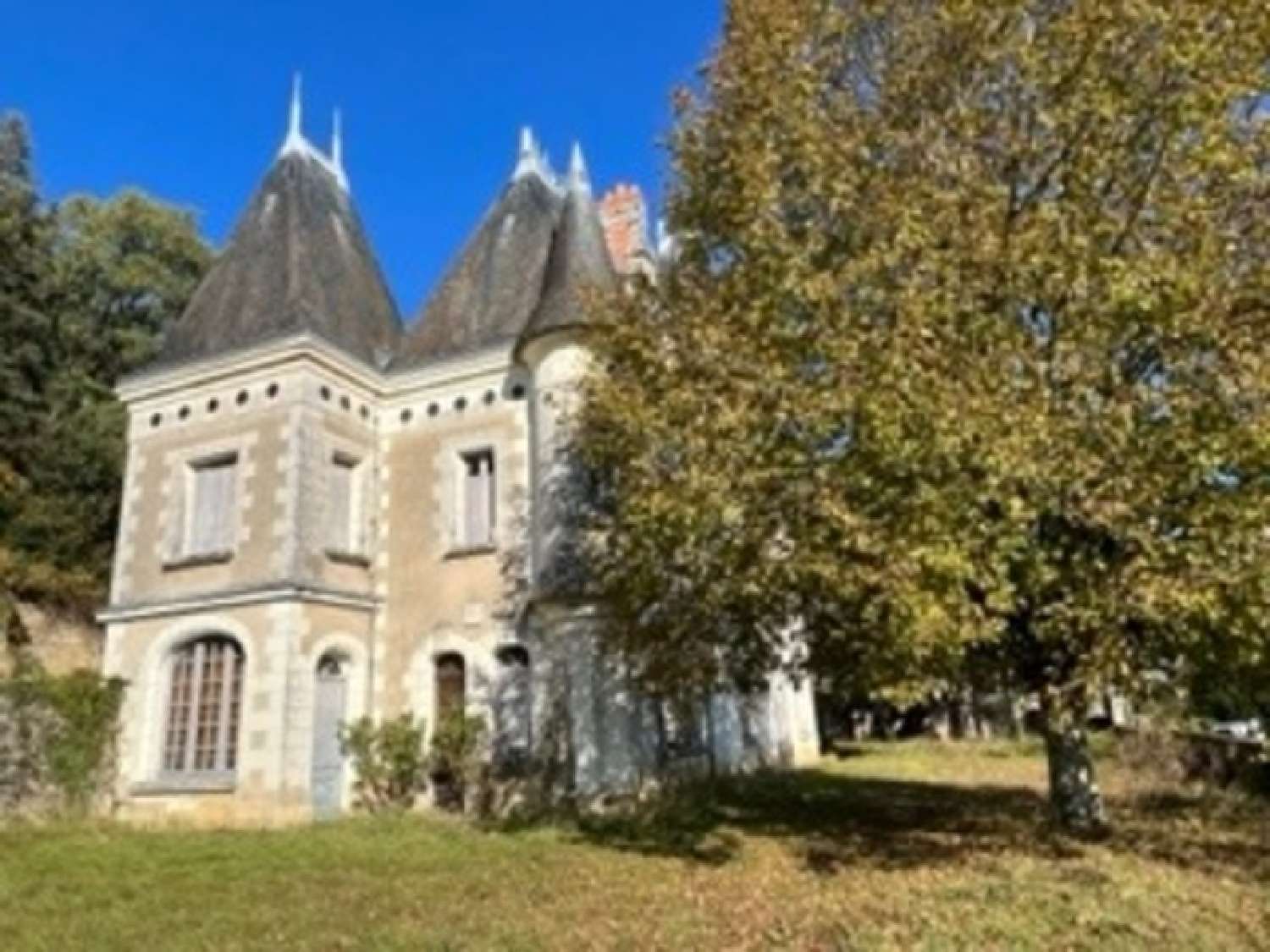  à vendre château Lussault-sur-Loire Indre-et-Loire 2