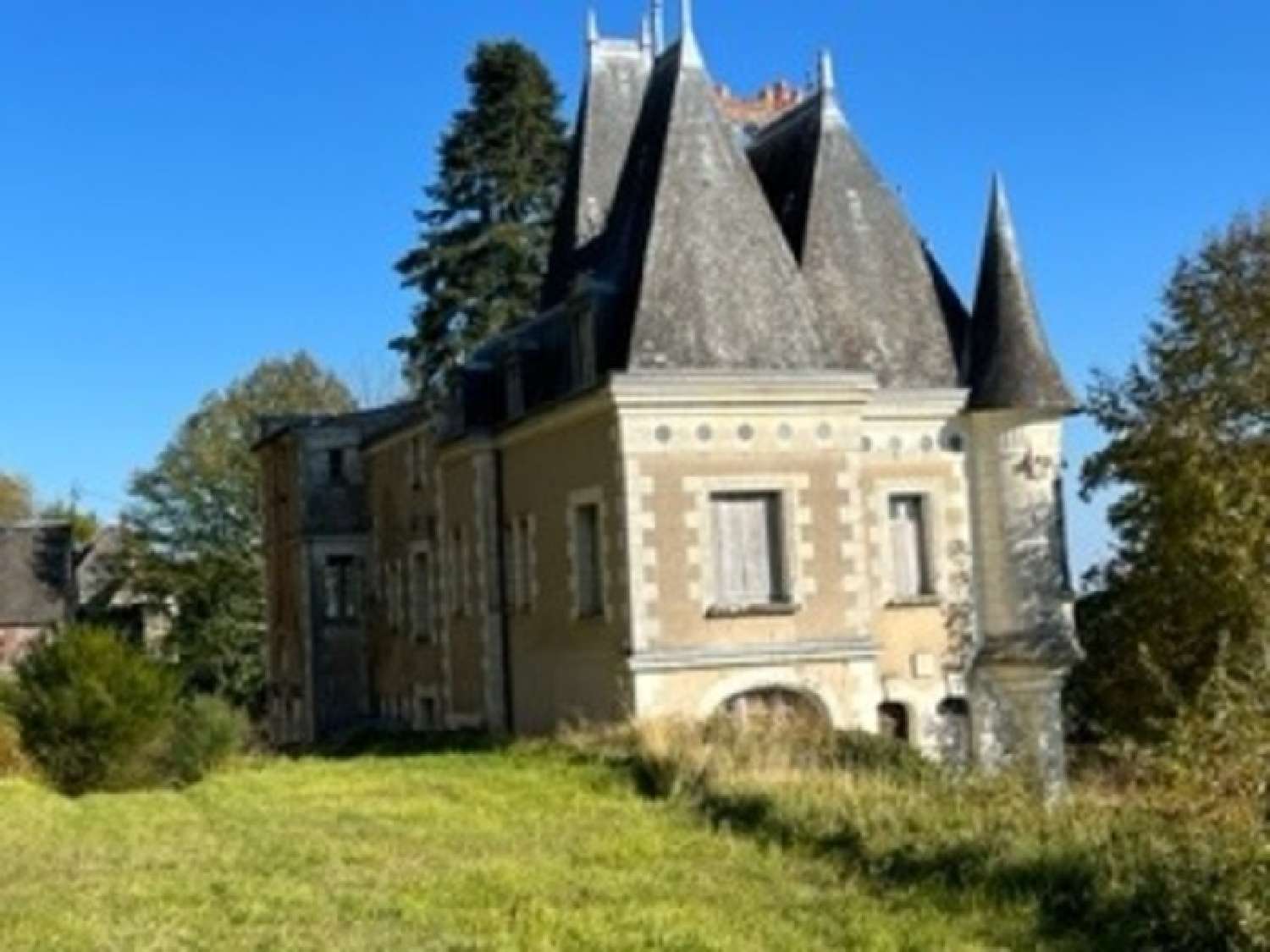  à vendre château Lussault-sur-Loire Indre-et-Loire 4
