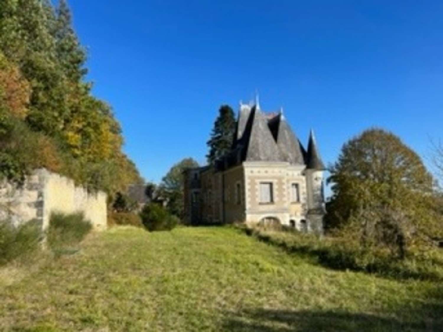  à vendre château Lussault-sur-Loire Indre-et-Loire 5