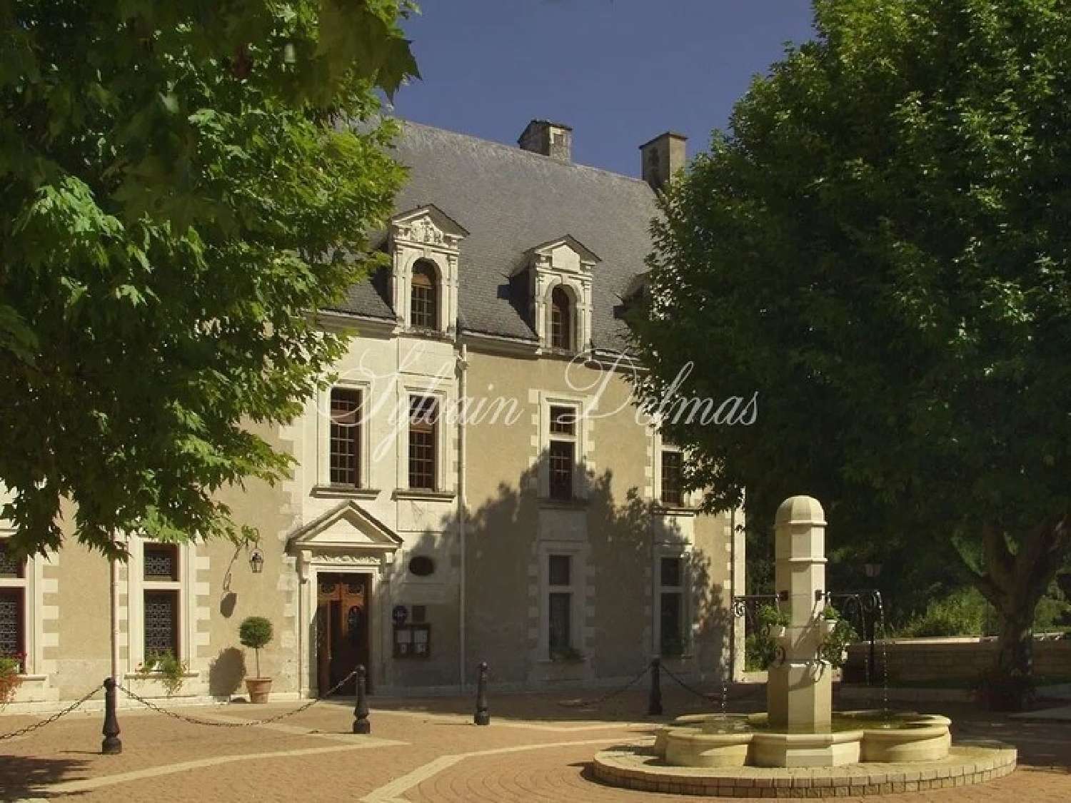  à vendre château Lussault-sur-Loire Indre-et-Loire 2