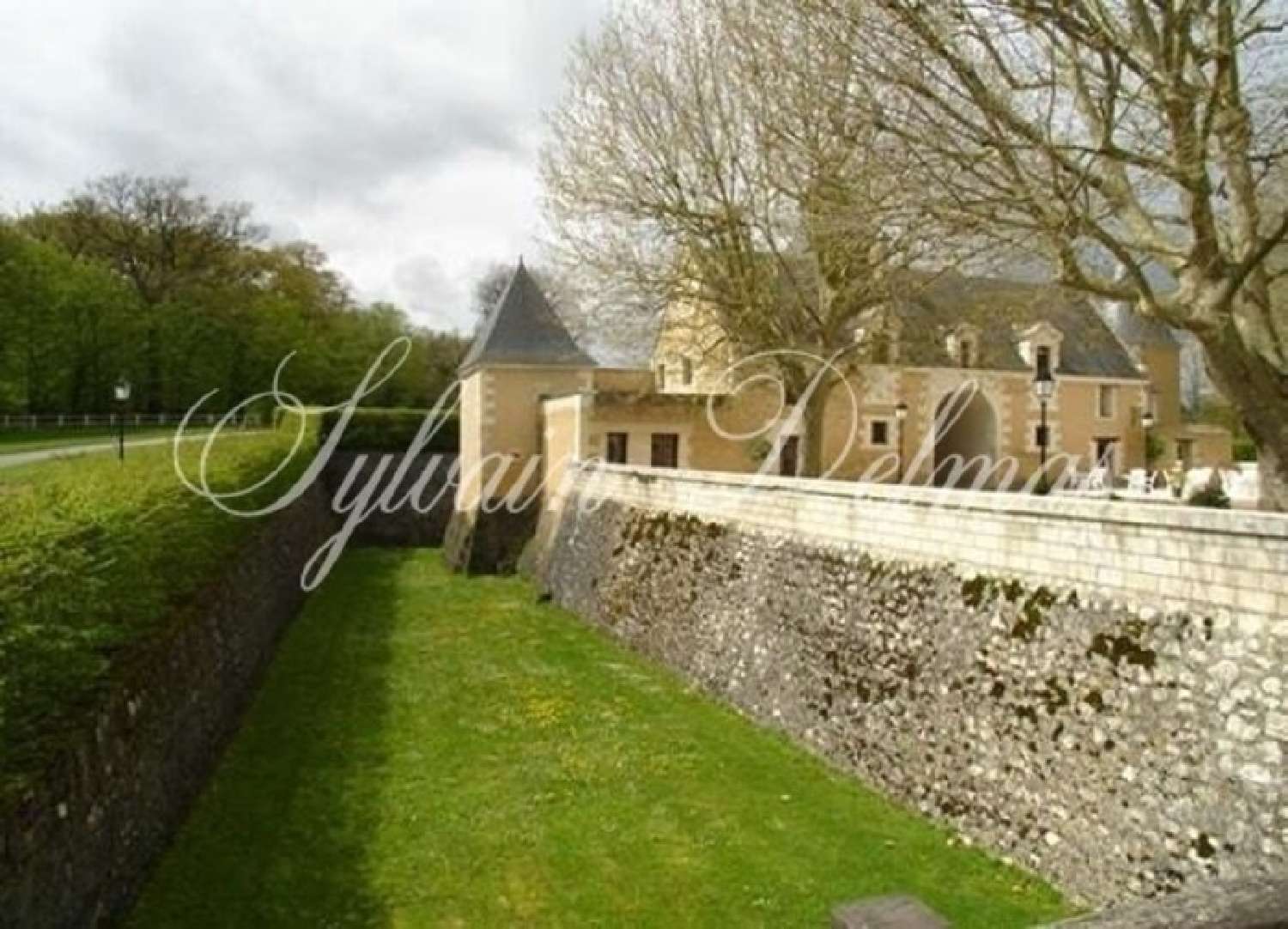  à vendre château Lussault-sur-Loire Indre-et-Loire 4