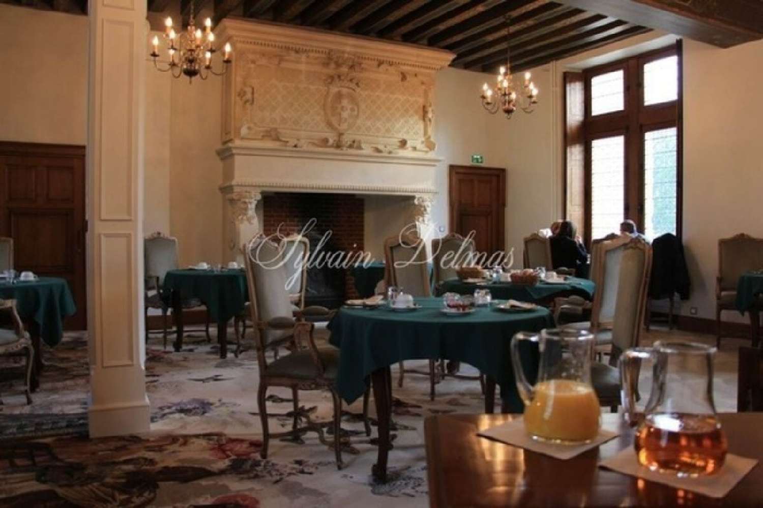  à vendre château Lussault-sur-Loire Indre-et-Loire 8