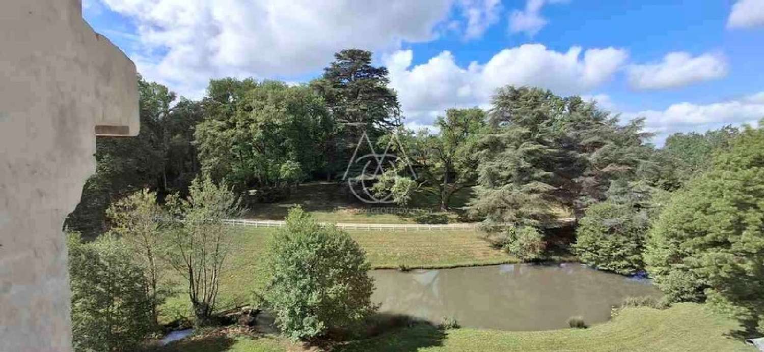  à vendre château Poitiers Vienne 6