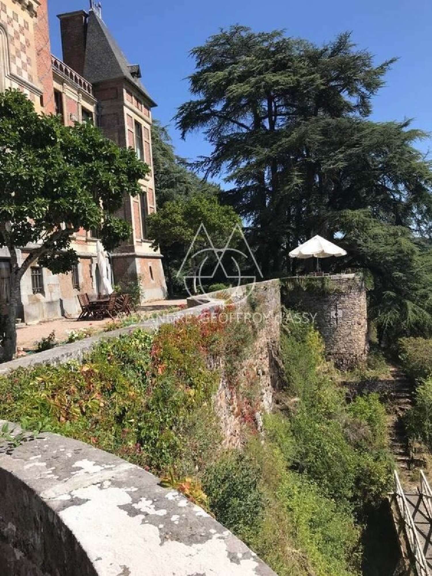 for sale castle Rânes Orne 7