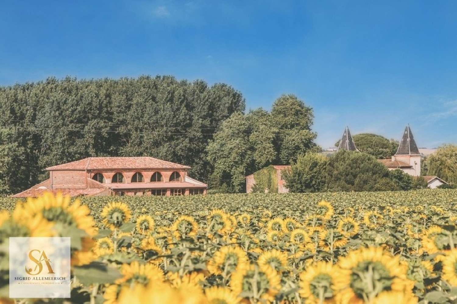 kaufen Schloss Toulouse Haute-Garonne 3