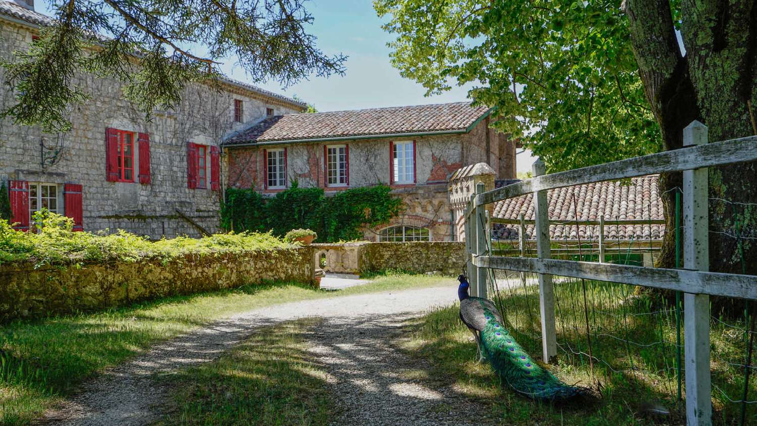  en venta castillo Tournon-d'Agenais Lot-et-Garonne 6