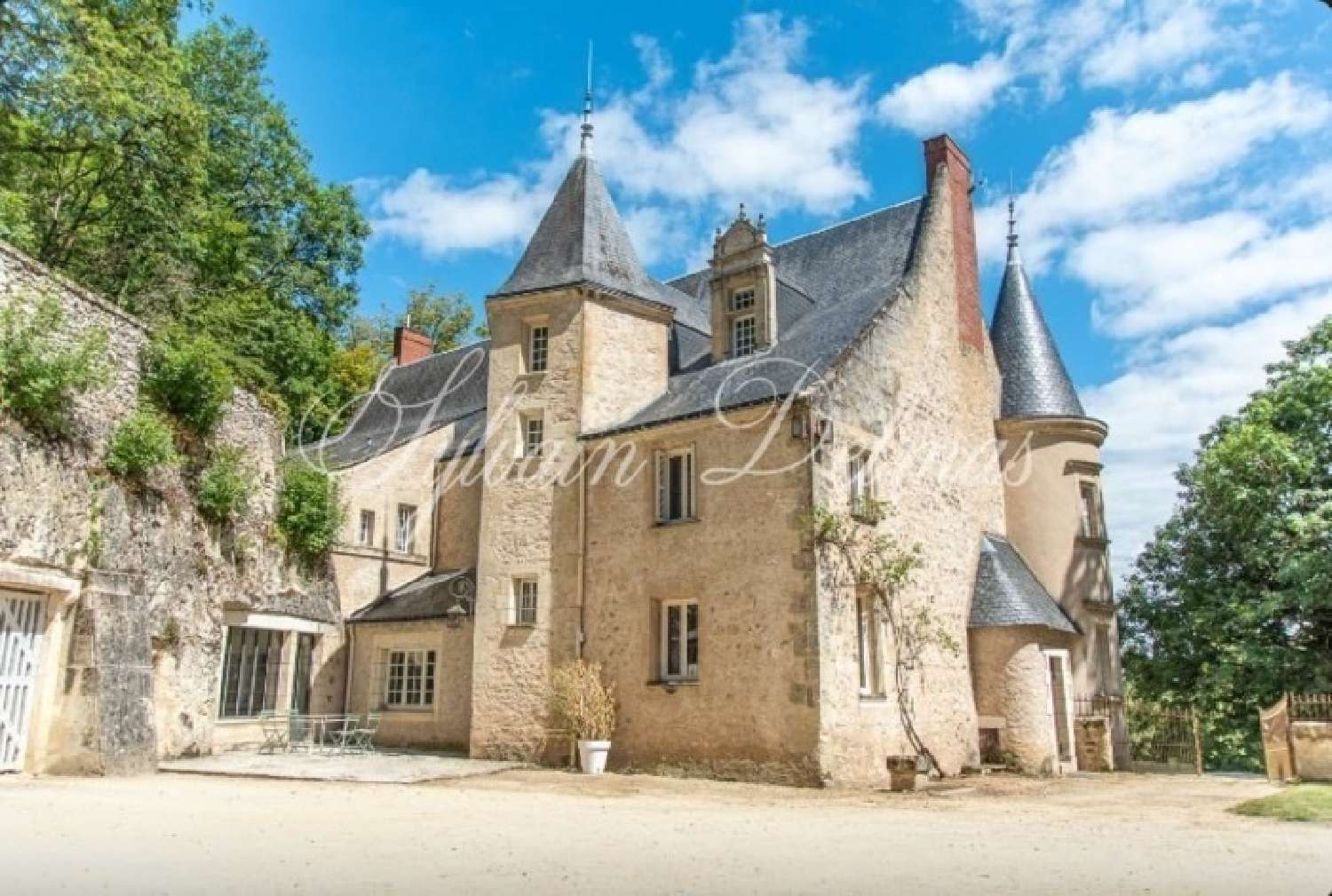  à vendre château Tours Indre-et-Loire 2