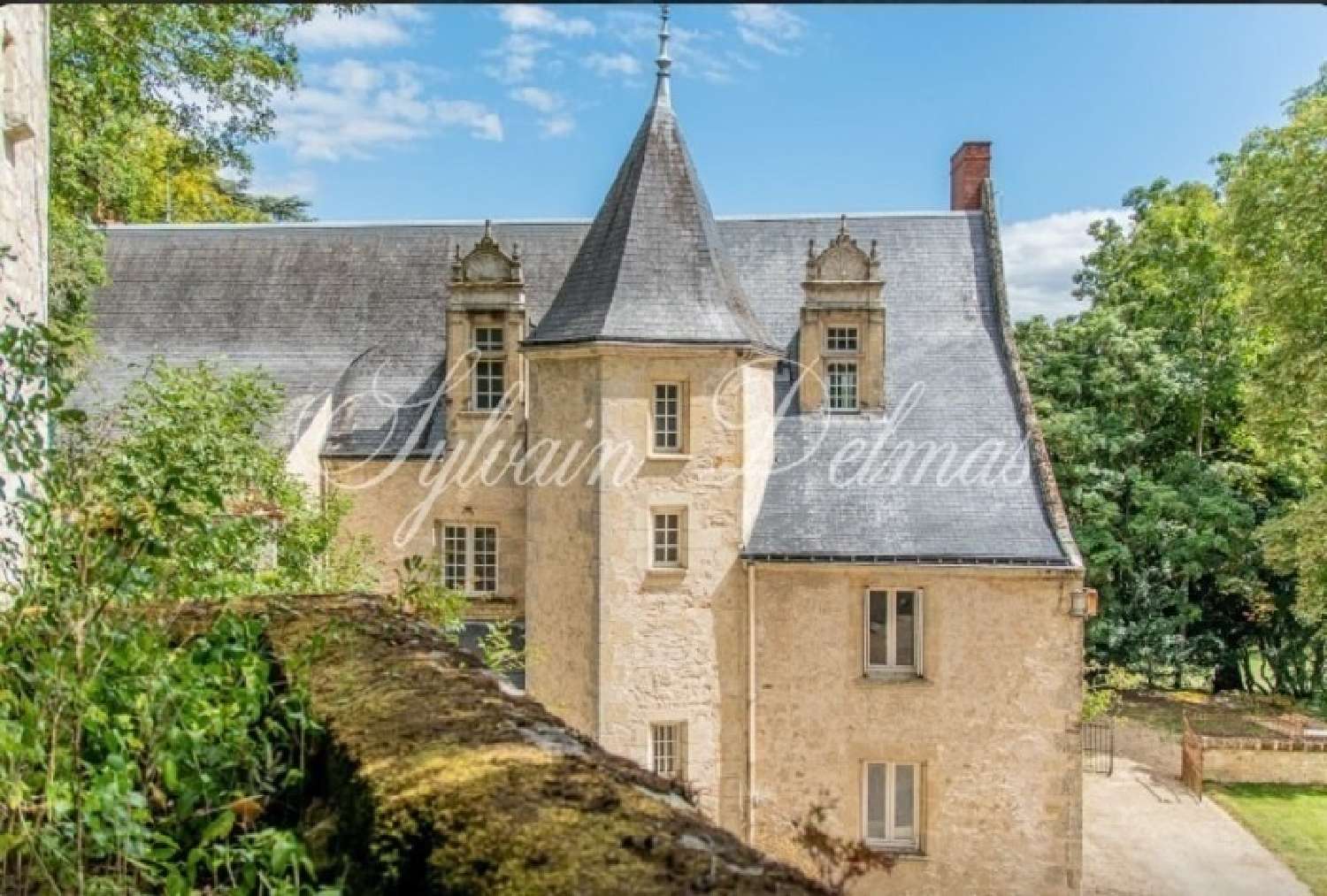  à vendre château Tours Indre-et-Loire 3