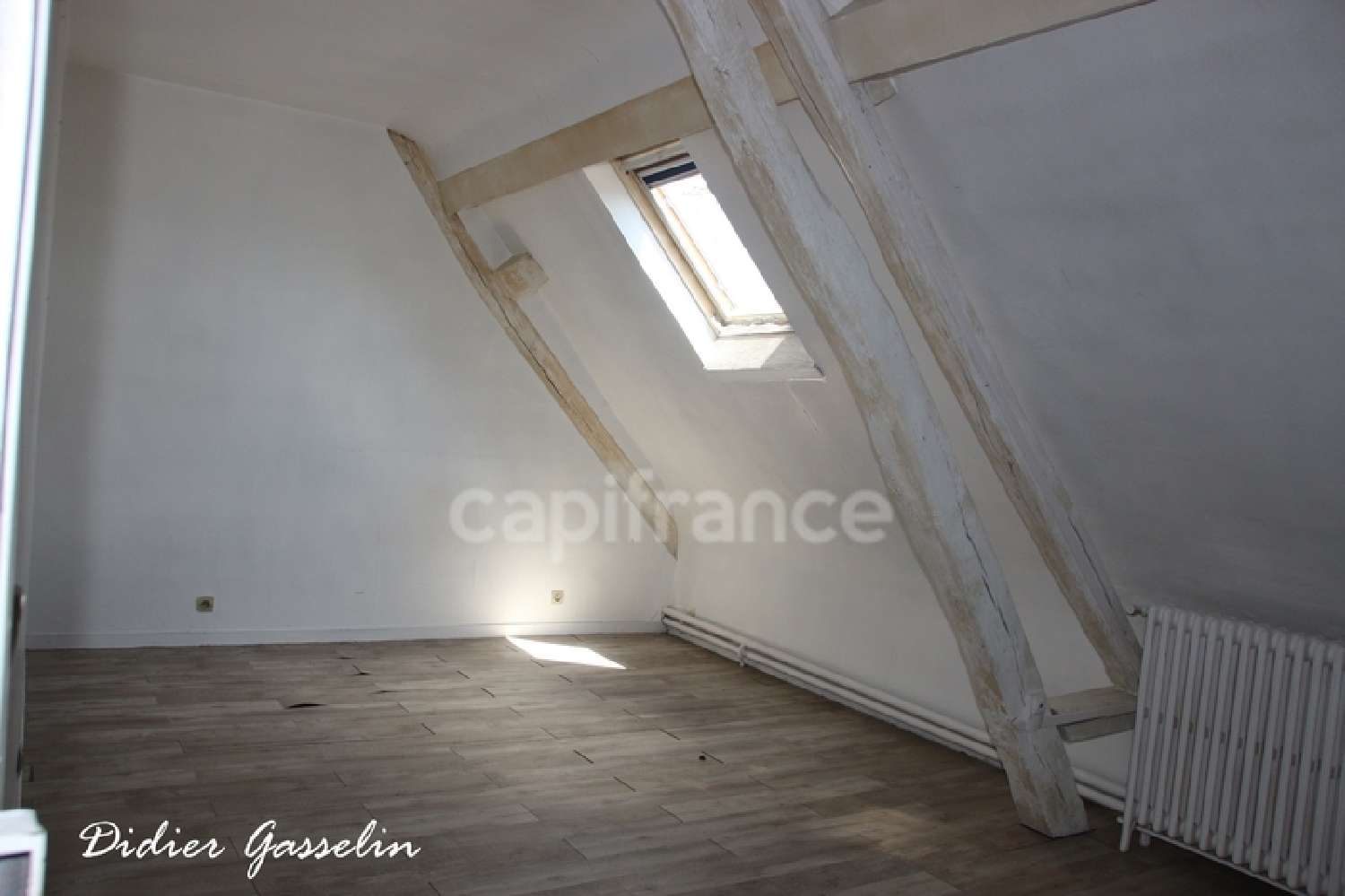  for sale commercial La Gaudaine Eure-et-Loir 8