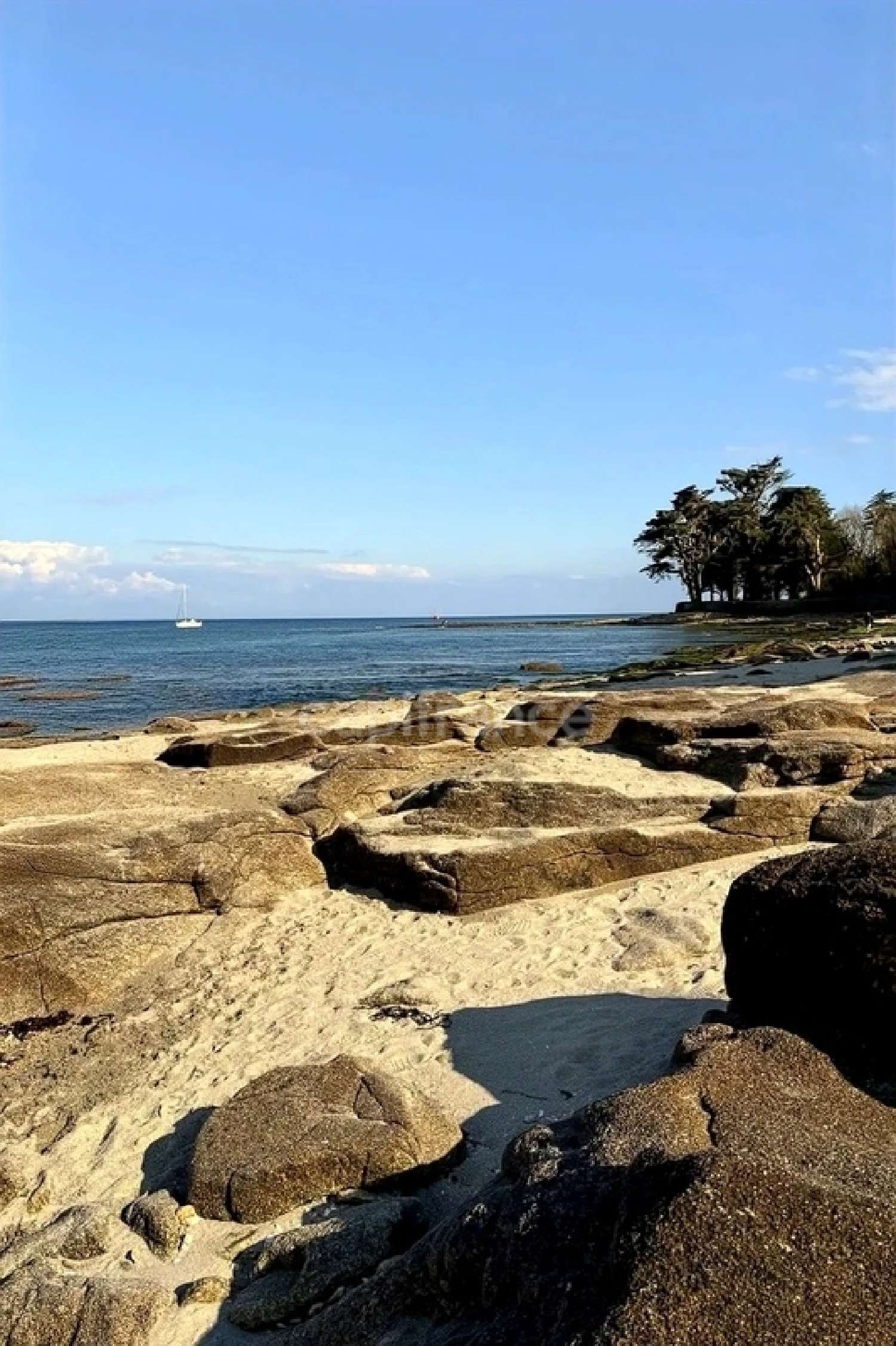 te koop bedrijfsruimte/ kantoor Loctudy Finistère 6