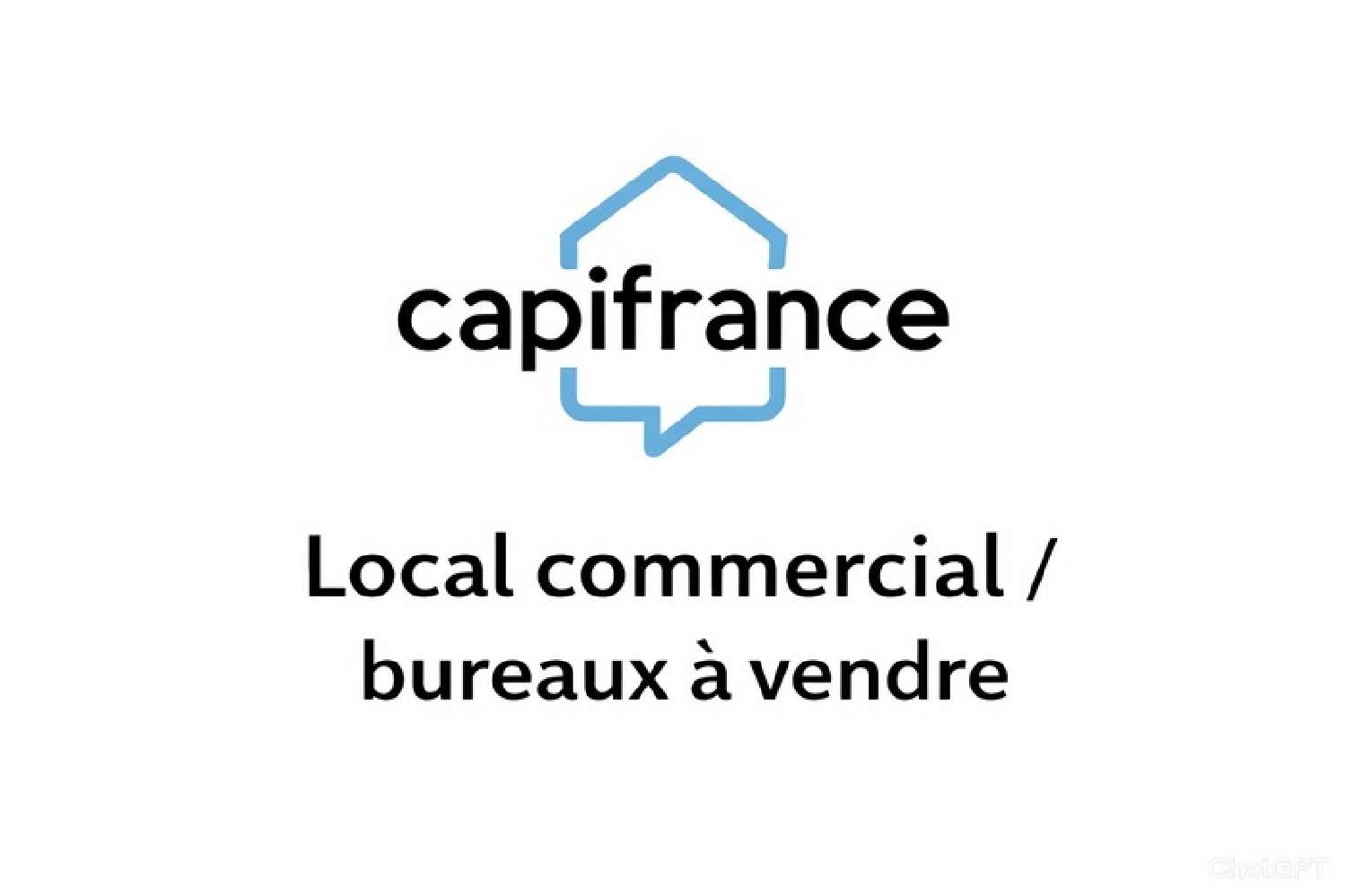 te koop bedrijfsruimte/ kantoor Paray-le-Monial Saône-et-Loire 1