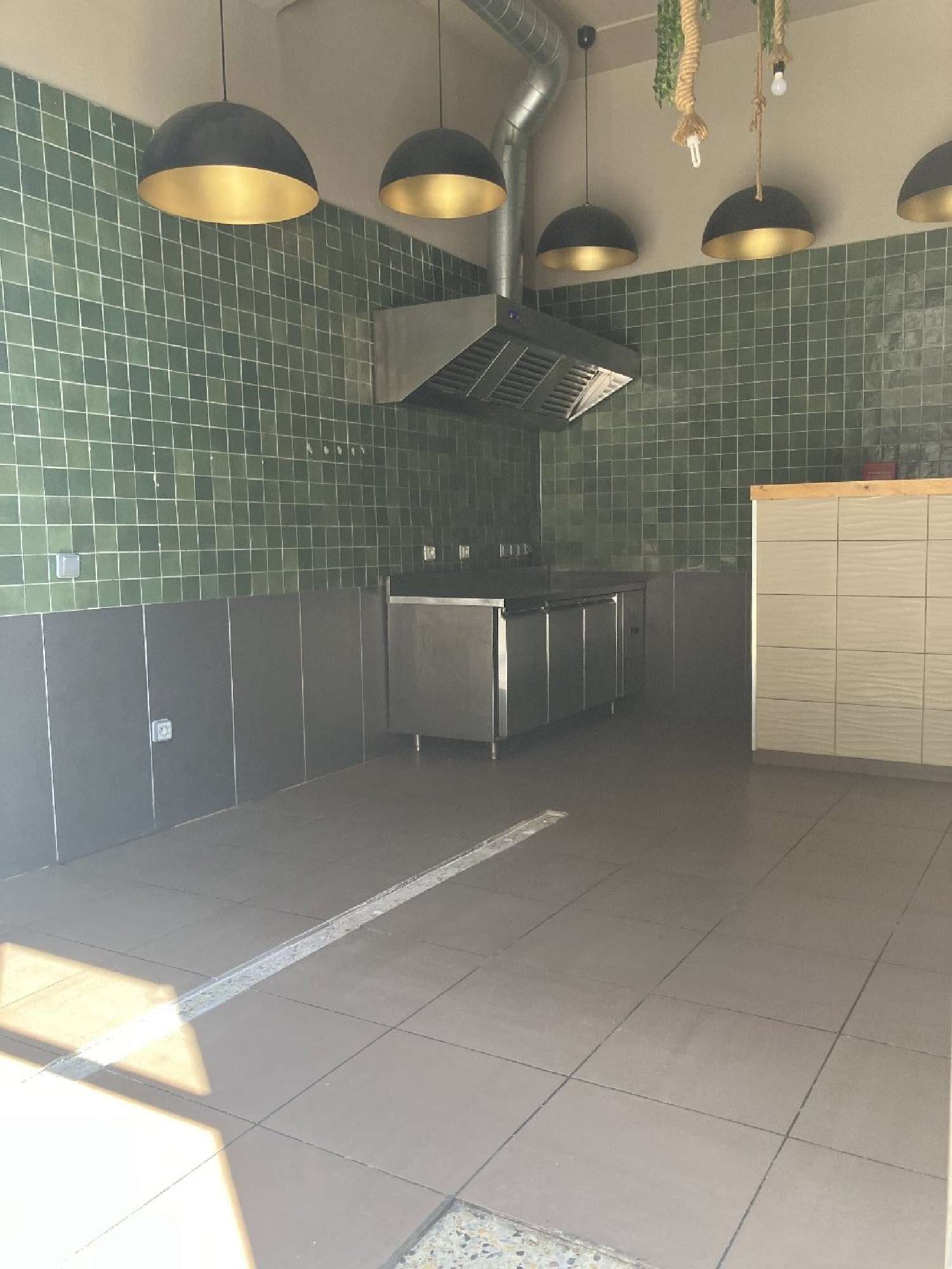 en venta local comercial Villeurbanne Rhône 6