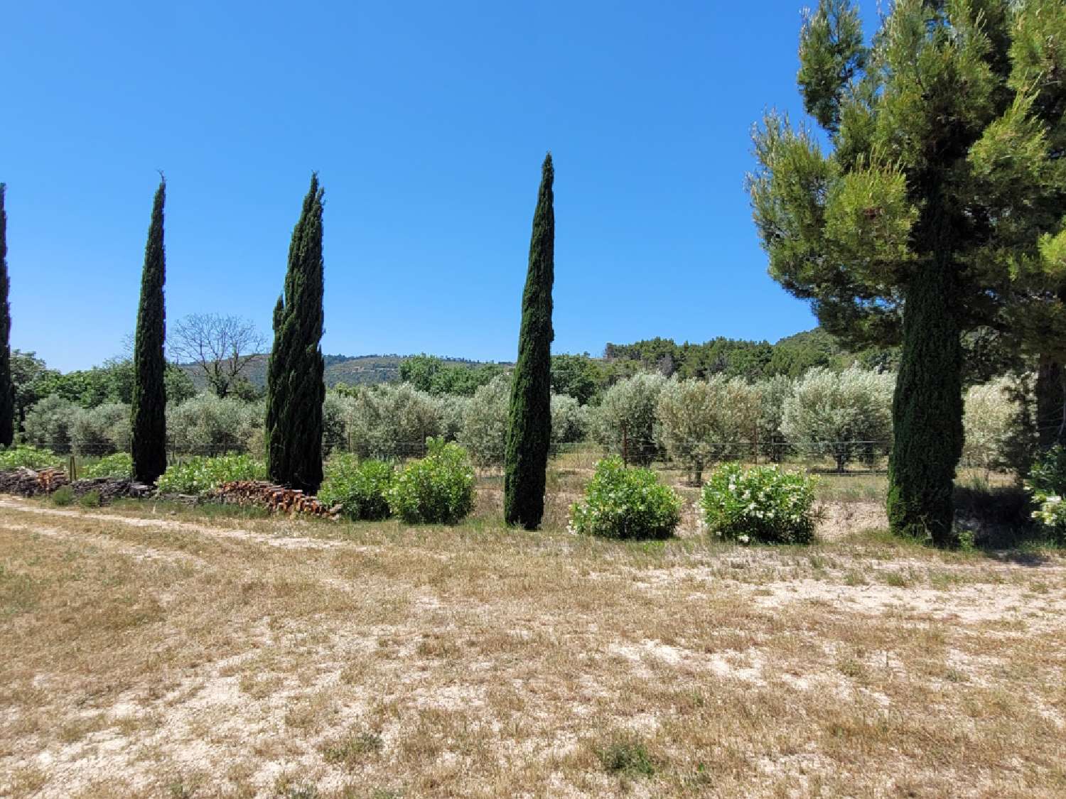  à vendre maison indépendant Bize-Minervois Aude 6