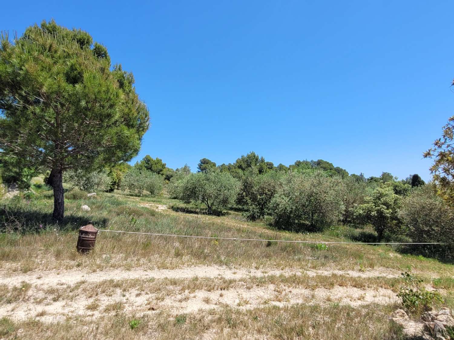  à vendre maison indépendant Bize-Minervois Aude 8
