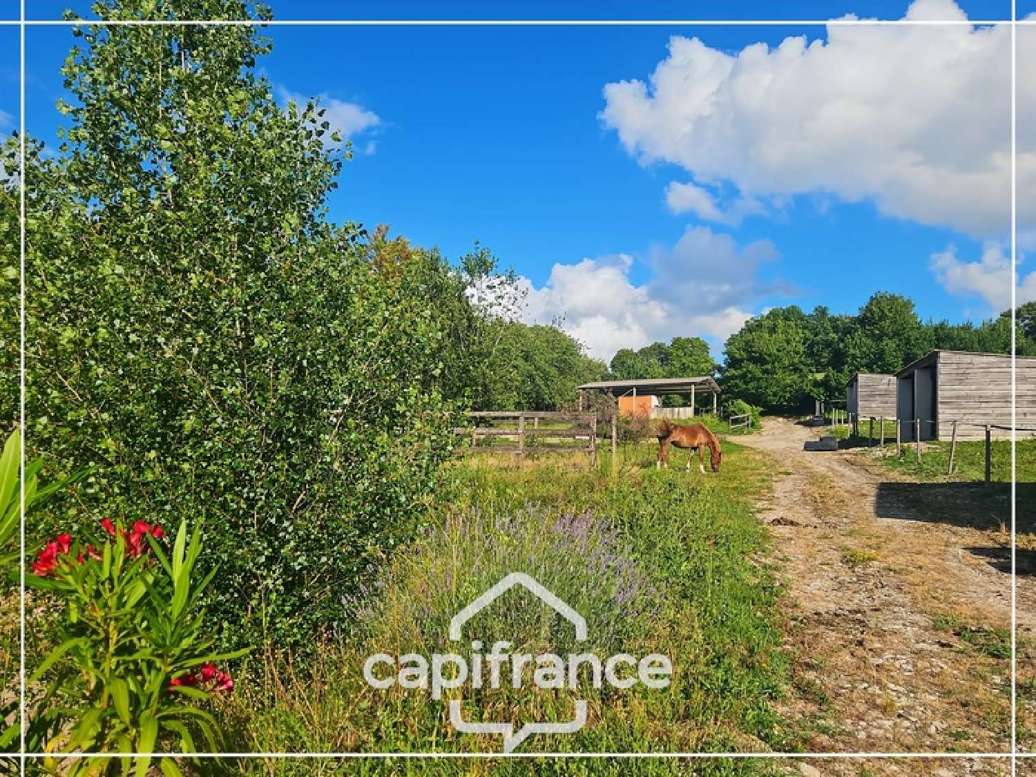  te koop landgoed Agen Lot-et-Garonne 1