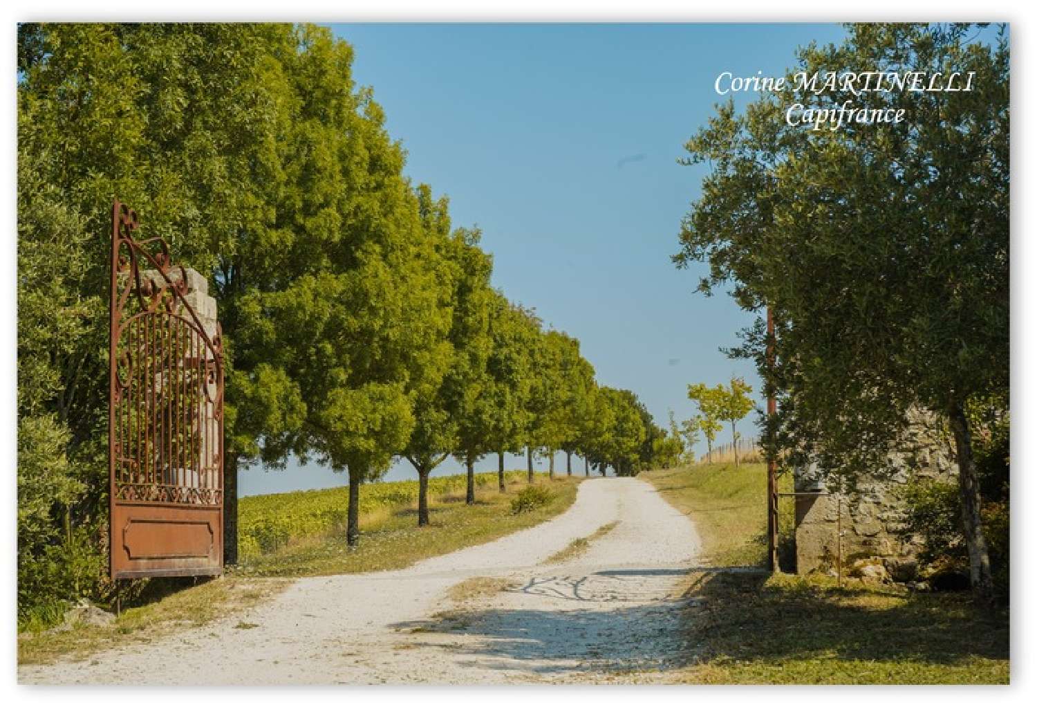 te koop landgoed Agen Lot-et-Garonne 6