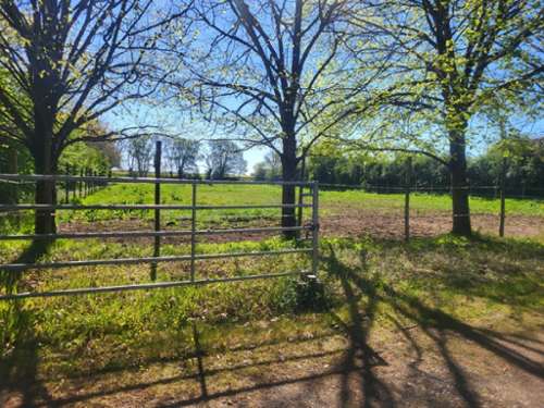 Aubigny Deux-Sèvres Landgut Bild 7356592