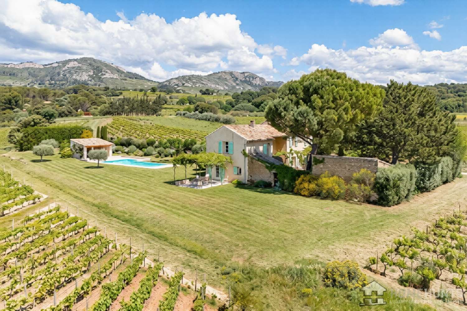  for sale estate Beaumes-de-Venise Vaucluse 1