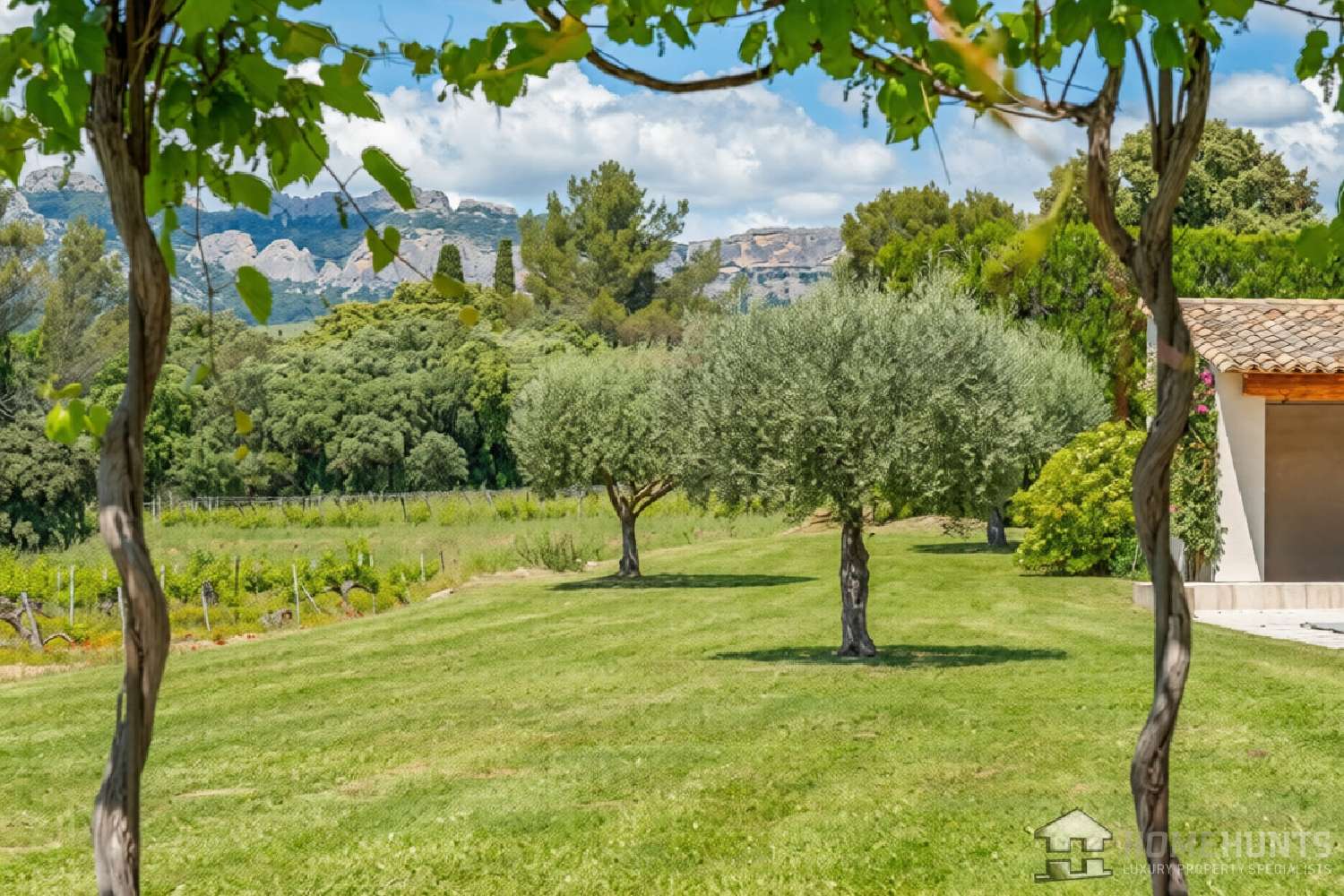  for sale estate Beaumes-de-Venise Vaucluse 3