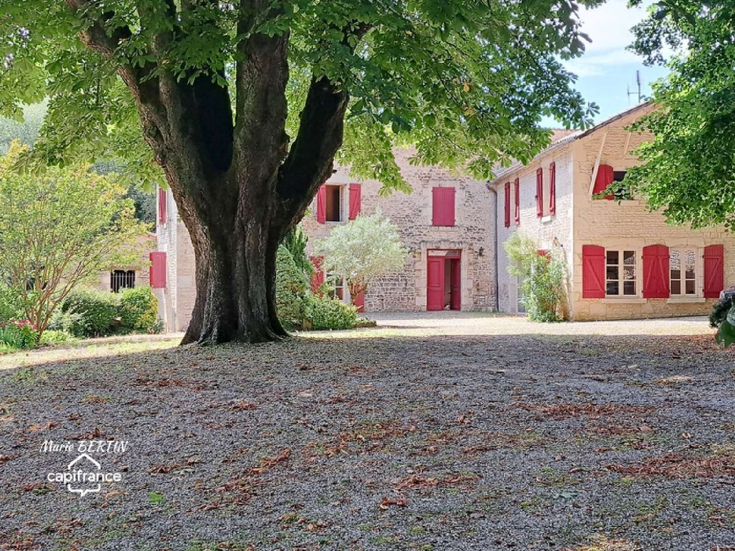  for sale estate Celles-sur-Belle Deux-Sèvres 2