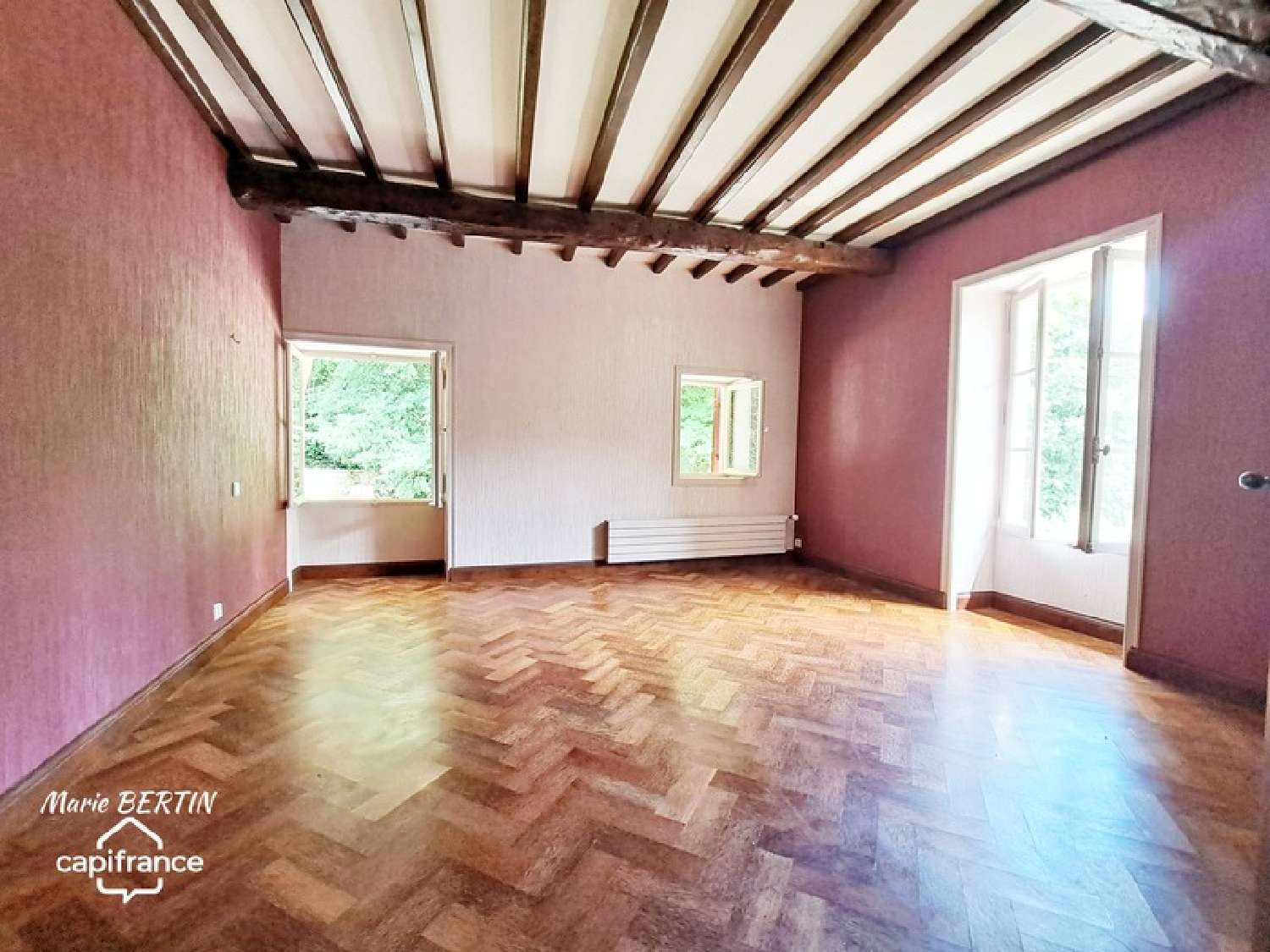  for sale estate Celles-sur-Belle Deux-Sèvres 8