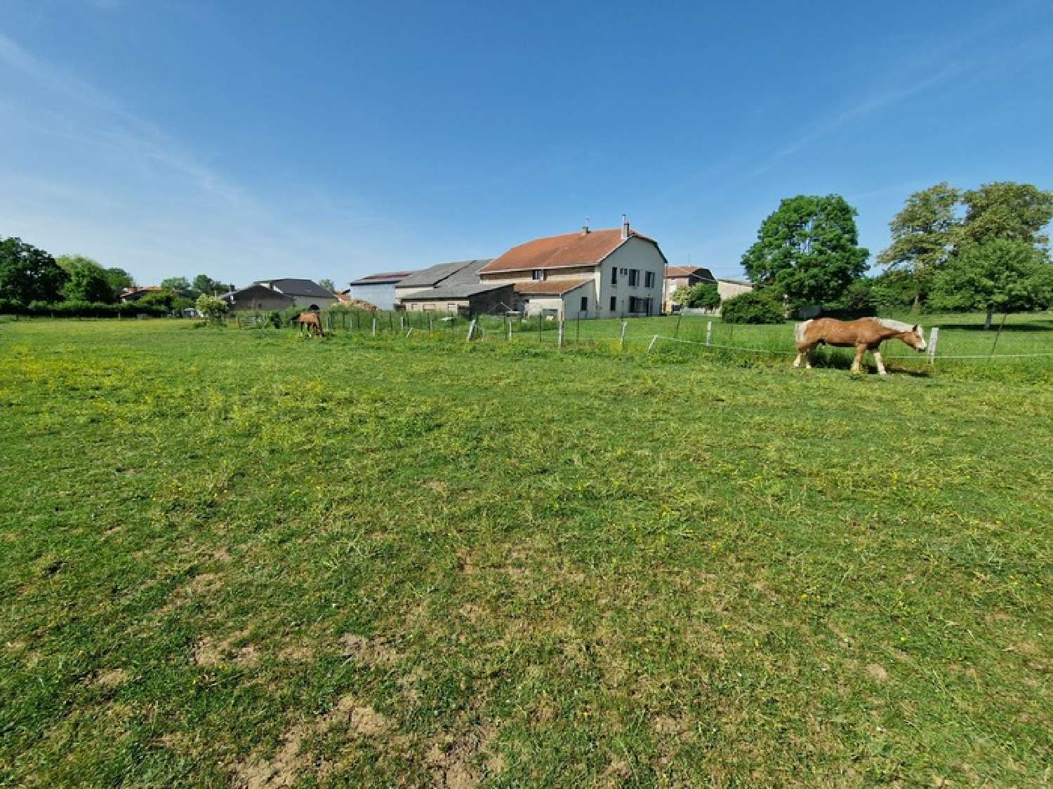 te koop landgoed Laloeuf Meurthe-et-Moselle 5