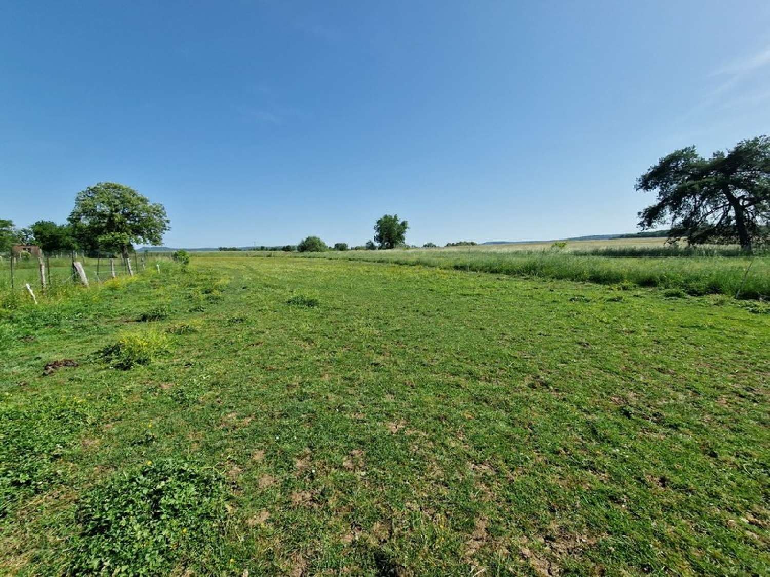te koop landgoed Laloeuf Meurthe-et-Moselle 6