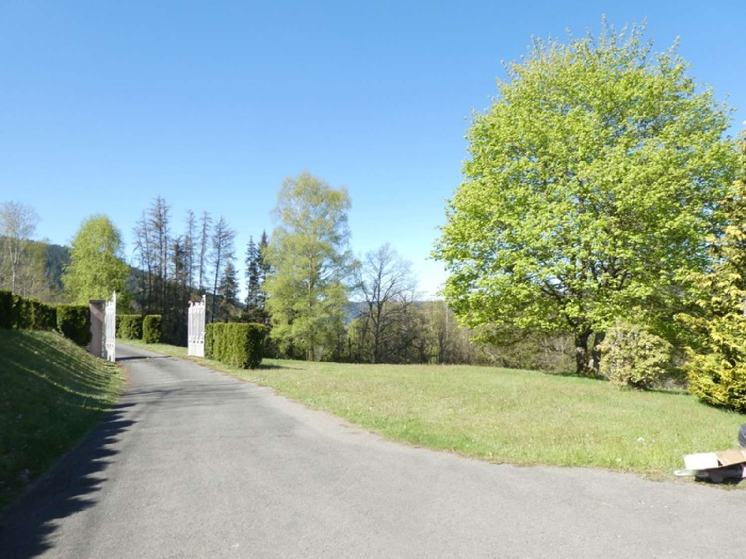for sale estate Le Syndicat Vosges 2