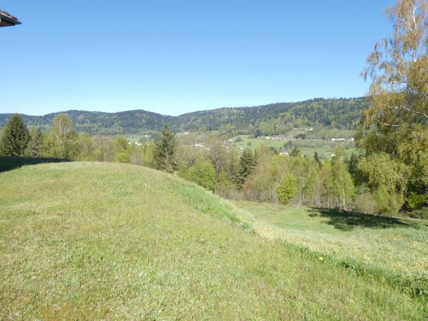 for sale estate Le Syndicat Vosges 3