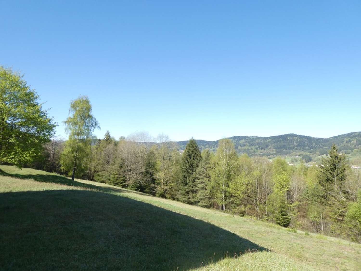 for sale estate Le Syndicat Vosges 4