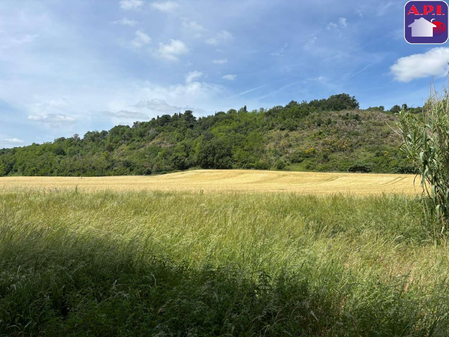  te koop landgoed Mazères Ariège 7