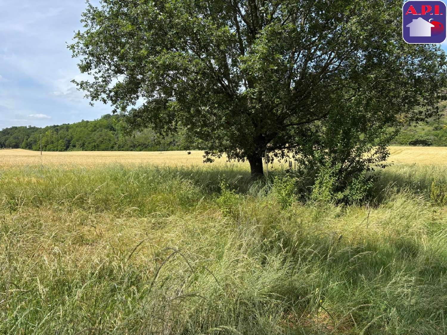  te koop landgoed Mazères Ariège 8