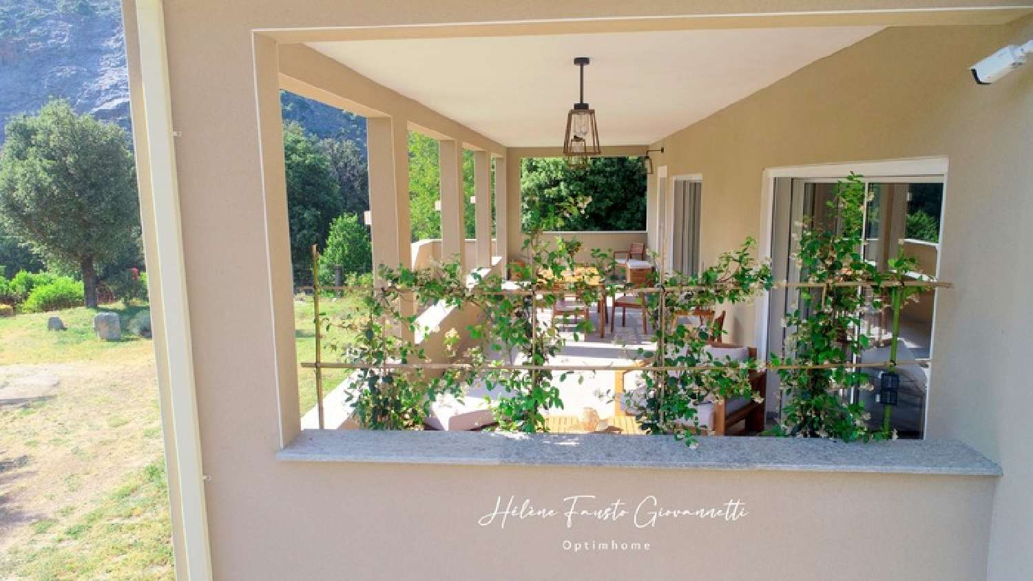  à vendre propriété Omessa Haute-Corse 5