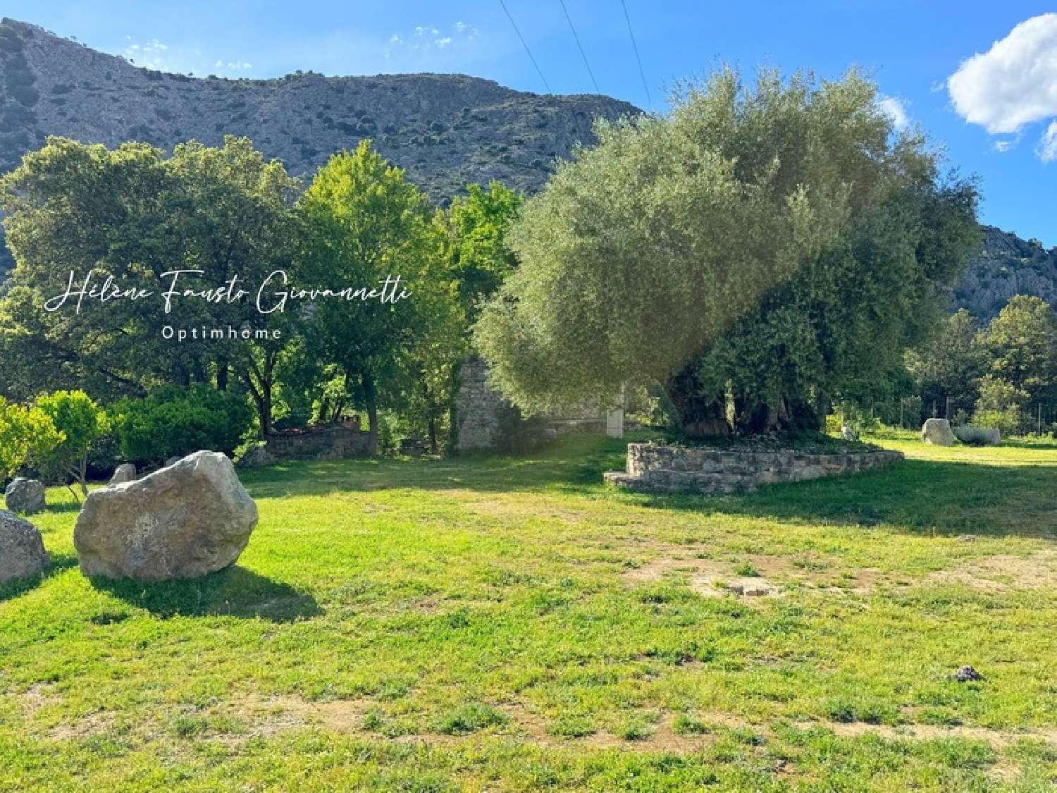  à vendre propriété Omessa Haute-Corse 6