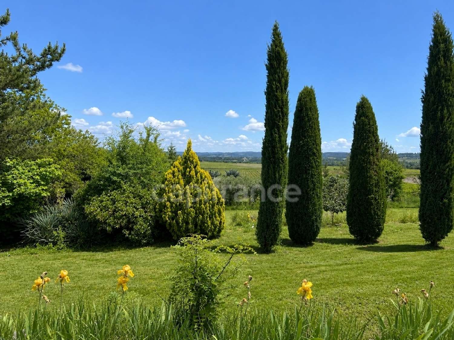  kaufen Landgut Pertuis Vaucluse 5