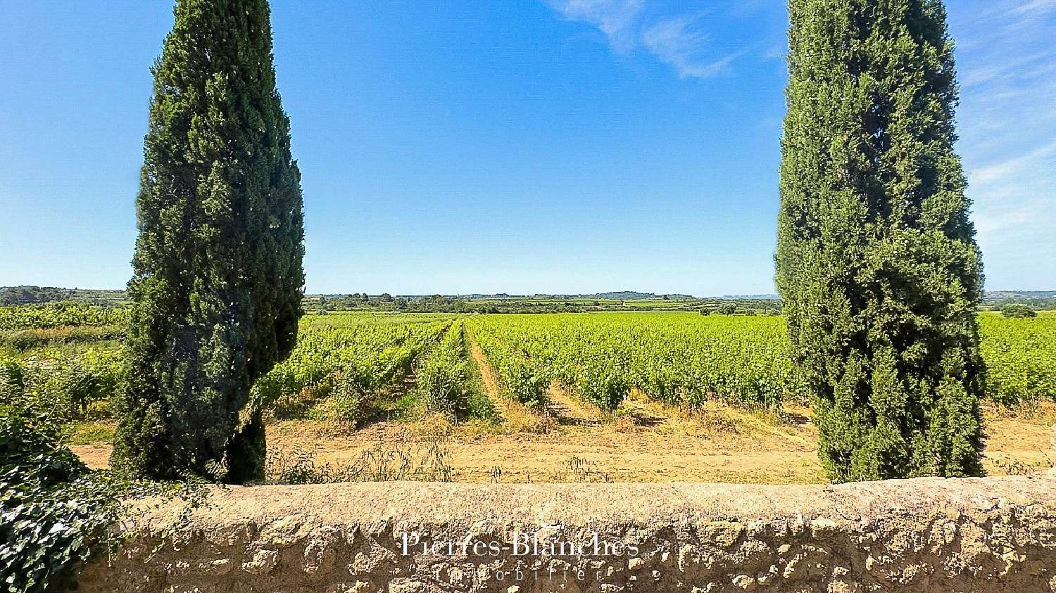  en venta finca rústica Pézenas Hérault 2
