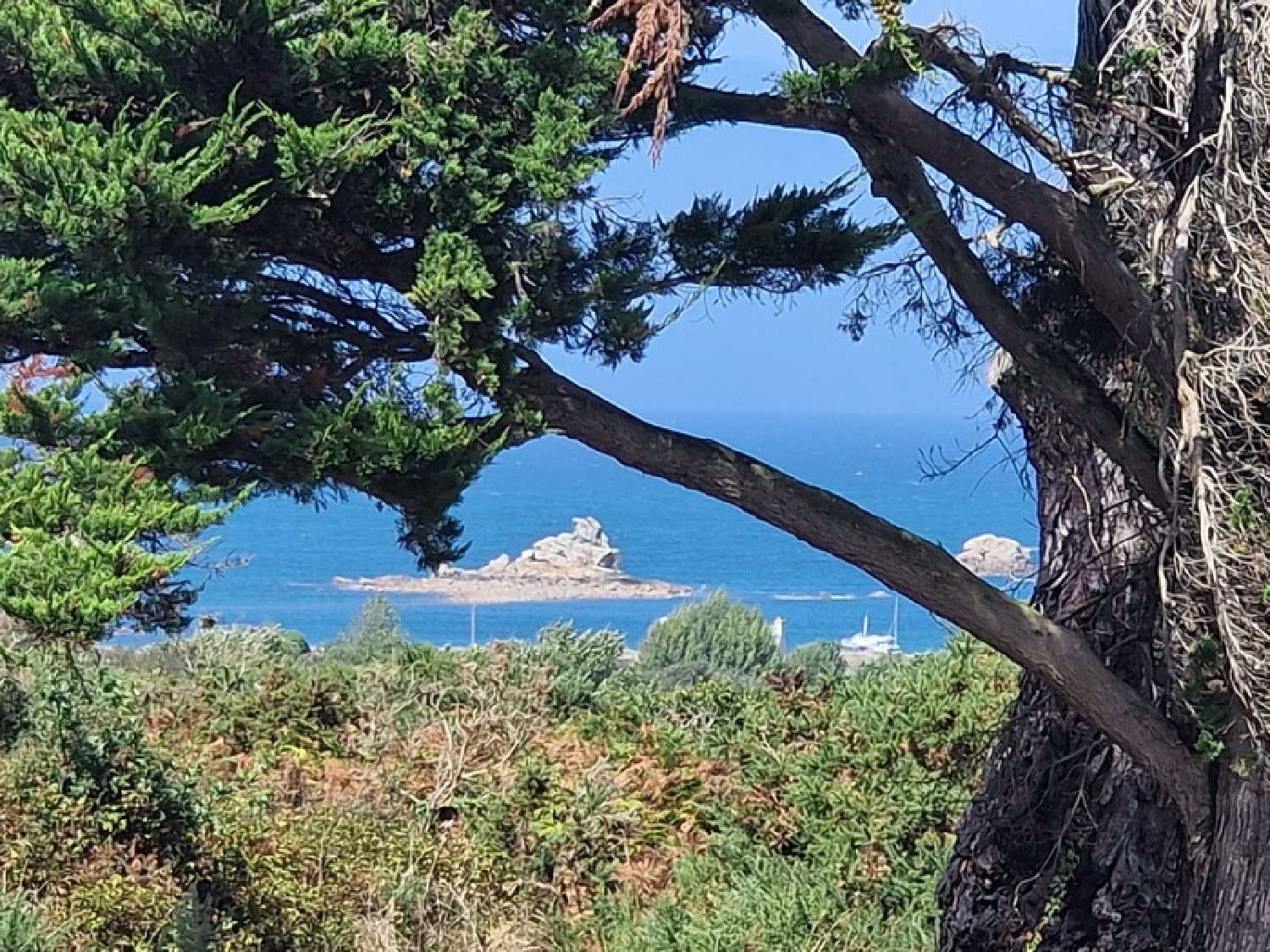 à vendre propriété Plougrescant Côtes-d'Armor 2