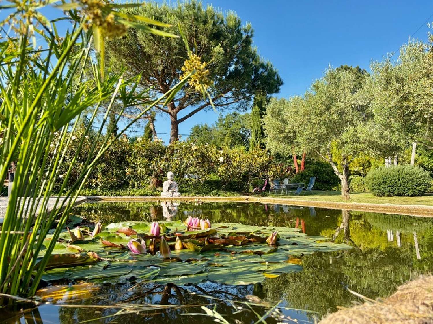  à vendre propriété Puymaurin Haute-Garonne 4