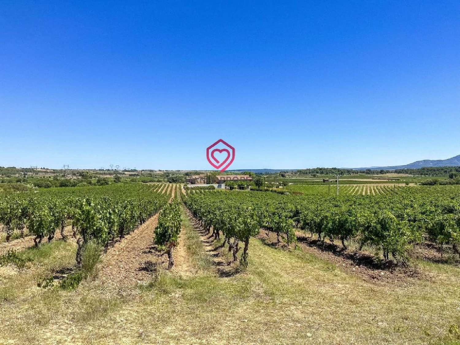  for sale estate Rieux-Minervois Aude 6