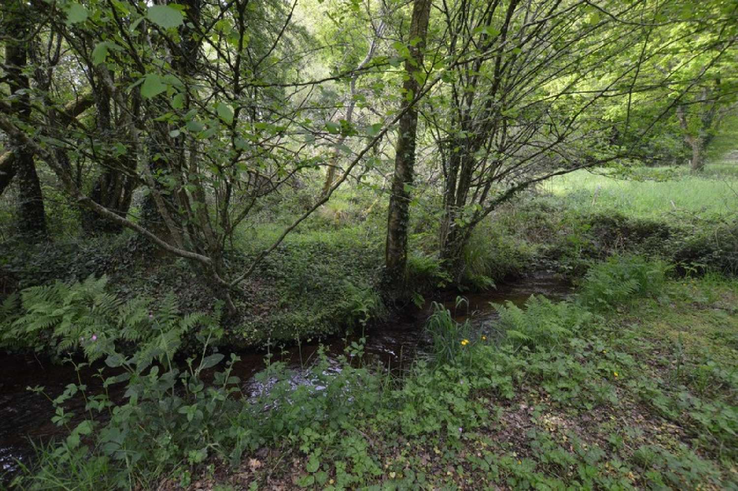 te koop landgoed Saint-Barthélemy Morbihan 6