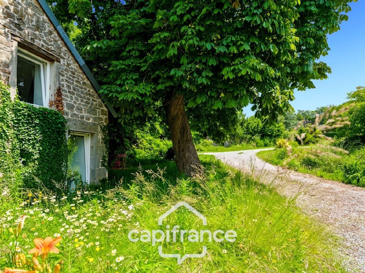  en venta finca rústica Saint-Vaury Creuse 8