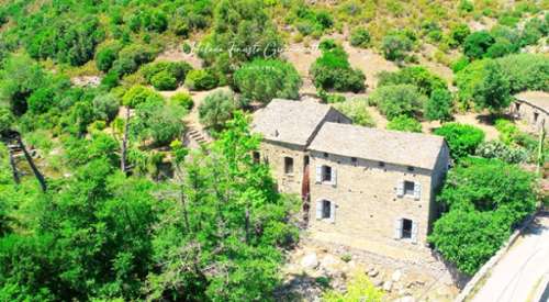 Santo-Pietro-di-Tenda Haute-Corse propriété foto 7349926