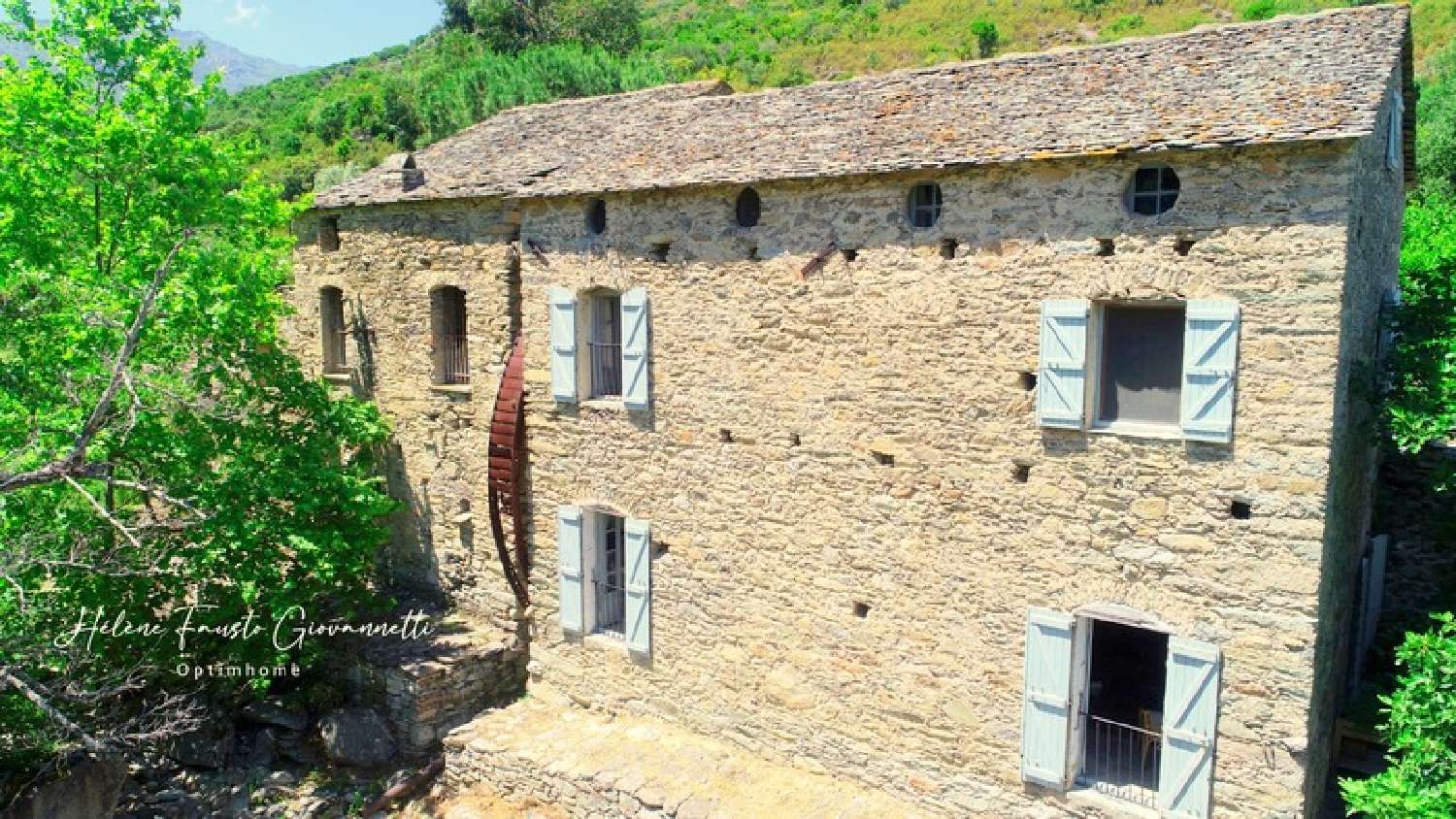  à vendre propriété Santo-Pietro-di-Tenda Haute-Corse 2