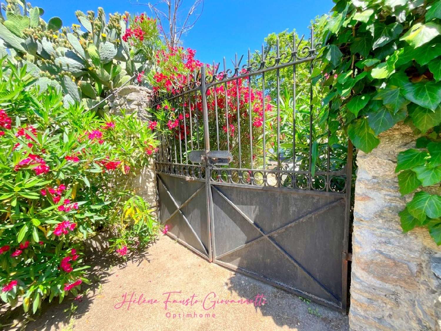  à vendre propriété Santo-Pietro-di-Tenda Haute-Corse 3