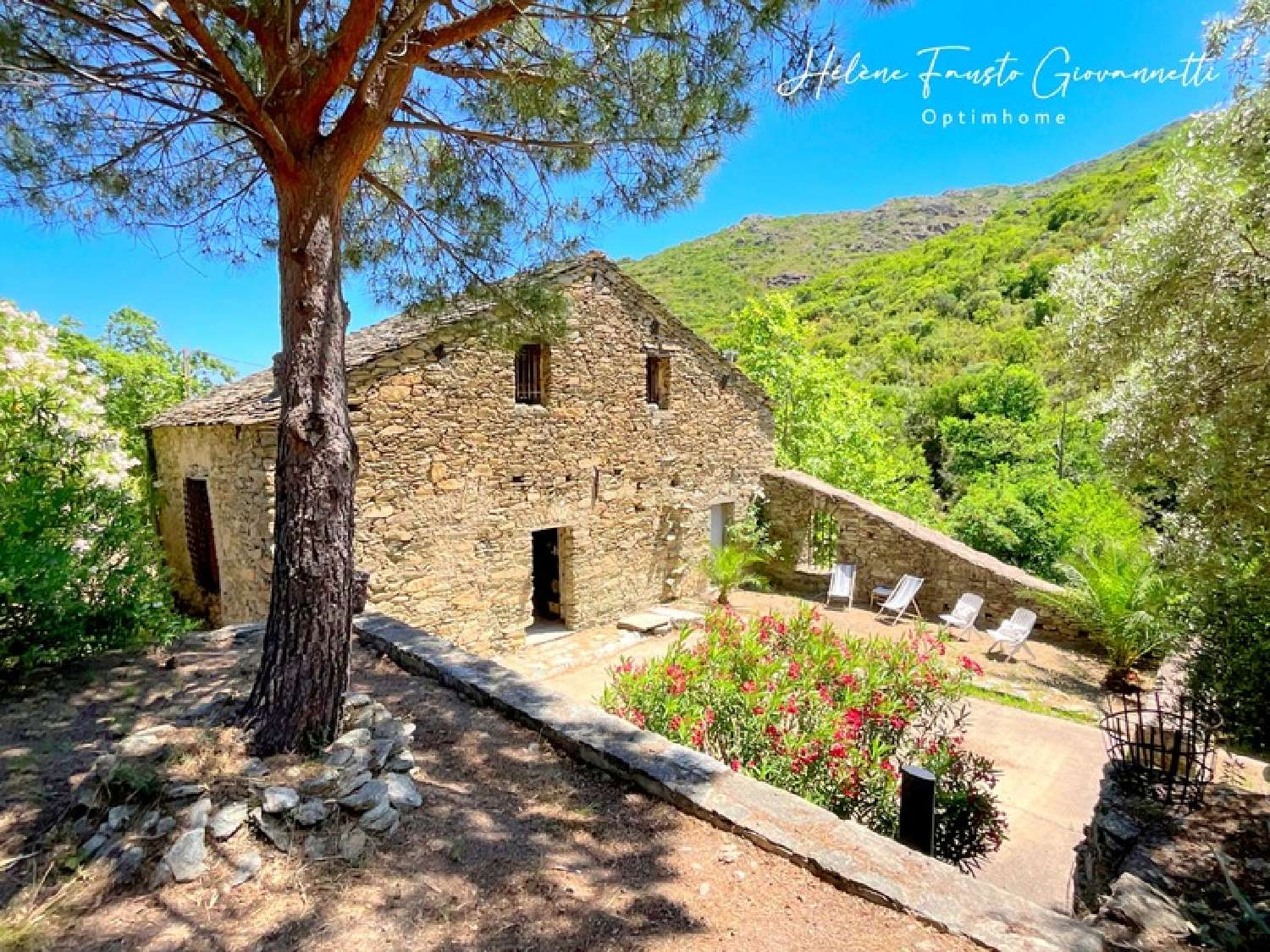  à vendre propriété Santo-Pietro-di-Tenda Haute-Corse 4