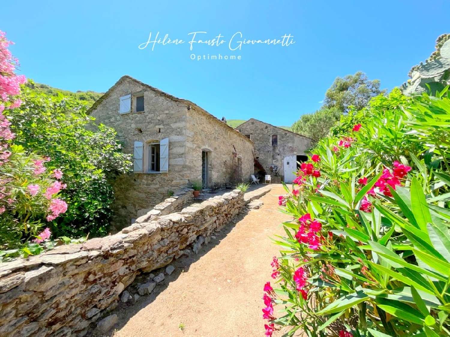  à vendre propriété Santo-Pietro-di-Tenda Haute-Corse 5